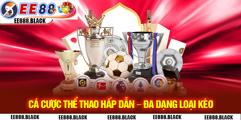 EE88 cược thể thao hấp dẫn - Đa dạng loại kèo